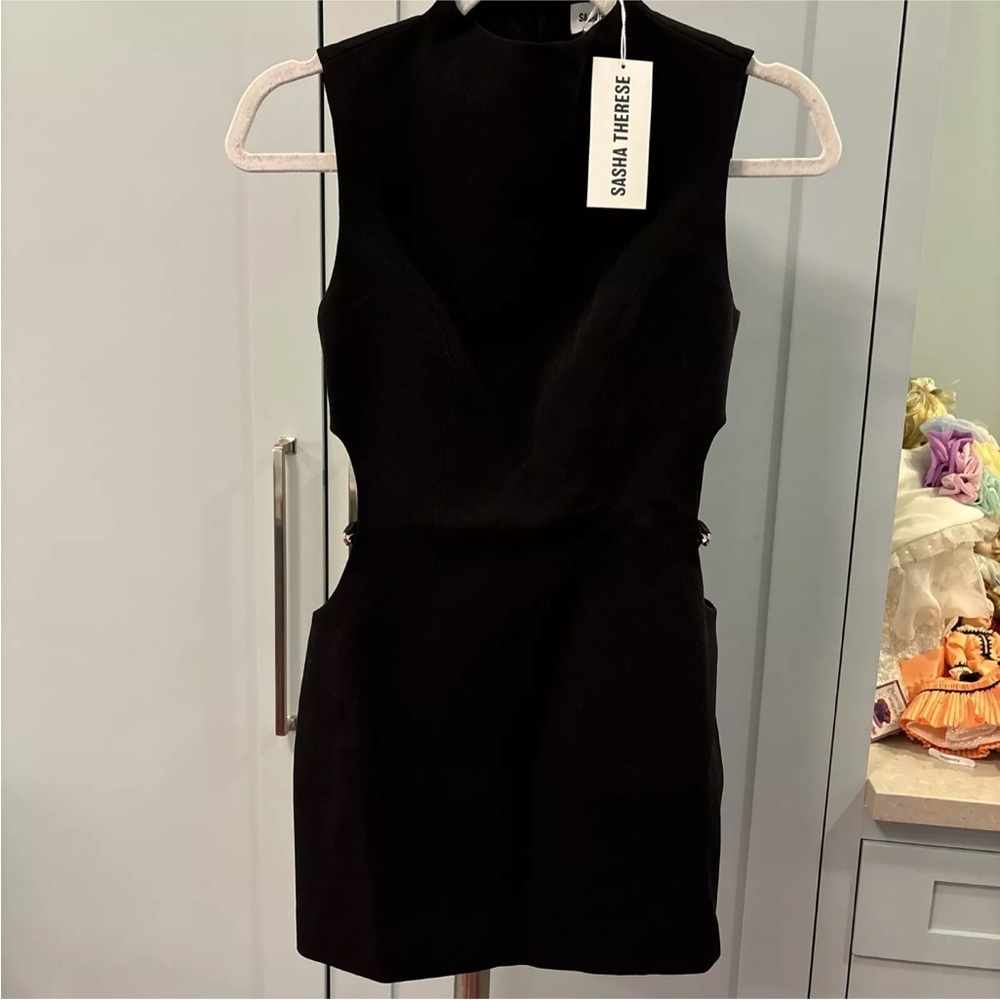 Sasha Therese Black Berlin Dress